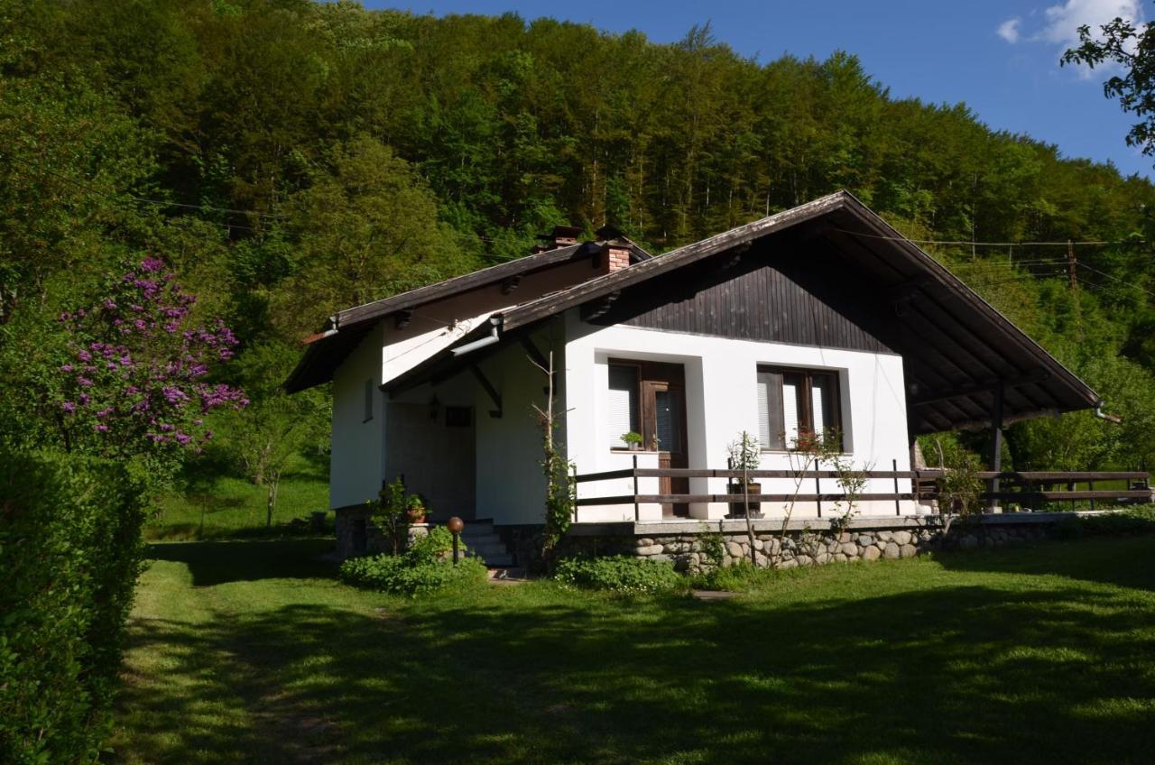 Вила Даяна Ribarica Exterior photo