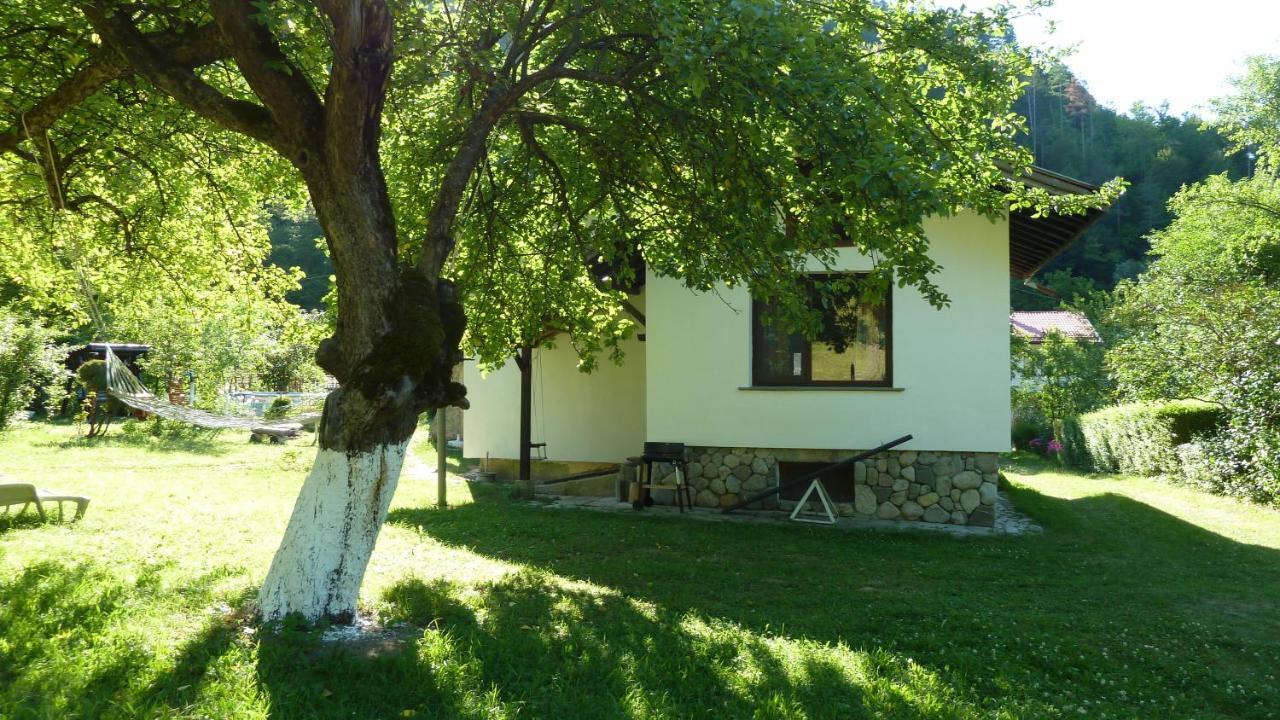 Вила Даяна Ribarica Exterior photo