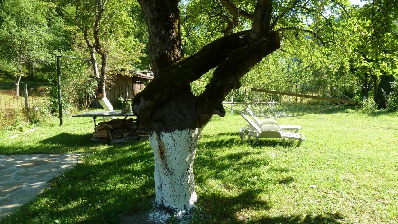 Вила Даяна Ribarica Exterior photo